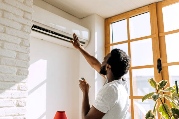 Best Local HVAC Companies  in West Ishpeng, MI