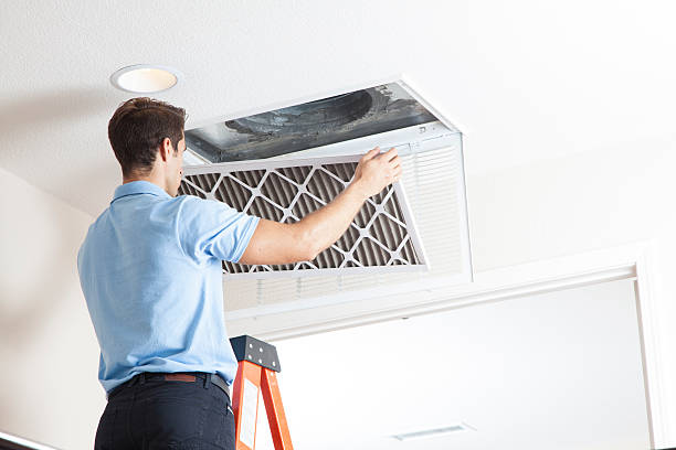 Best HVAC Air Duct Cleaning  in West Ishpeng, MI
